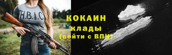 прущие грибы Краснослободск
