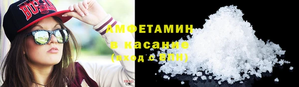 прущие грибы Краснослободск