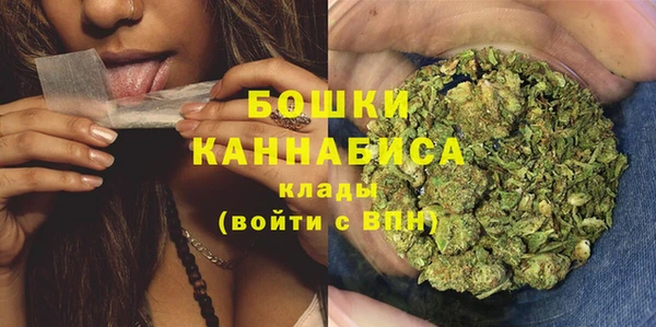 прущие грибы Краснослободск