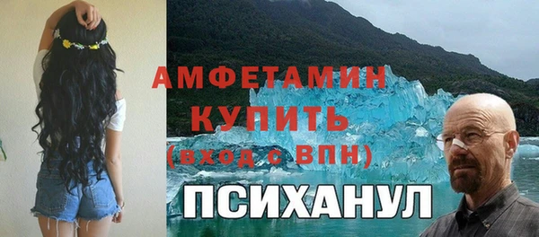 прущие грибы Краснослободск