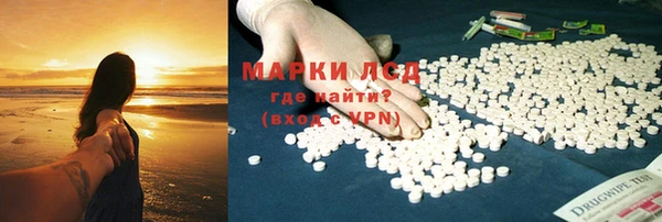 прущие грибы Краснослободск